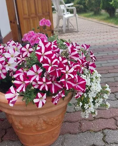 Aura Rum i privatbostad